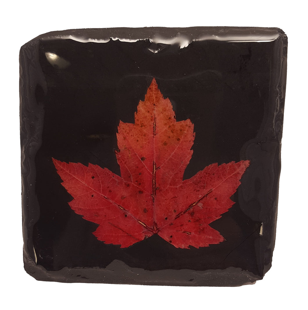 Maple Leaf Slate Coaster